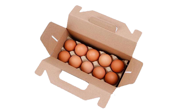 贵阳鸡蛋包装箱